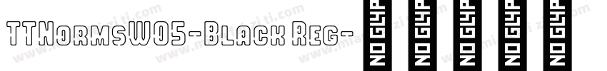 TTNormsW05-Black Reg字体转换